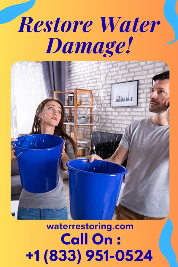 water restoration Coastal Cleanup Services Ringo