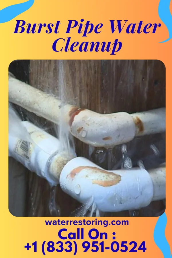 Burst Pipe Water Cleanup in Ringo, KS